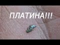 Нашёл золото и платину!!! Теперь можно и сезон закрывать!!!