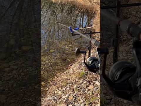 #methodfeeder #method #feeder