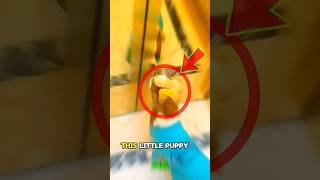 The Sweetest Puppy Transformation Ever ❤️ #shorts #viral #puppy #dog #cute #nobatidao