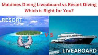 Maldives Diving Liveaboard vs Resort   Which is Right for You