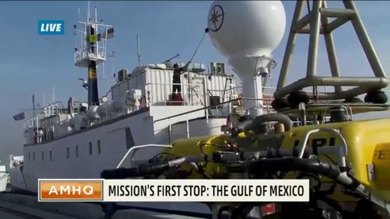 Sea Creatures, Sunken Ships, and OIL?