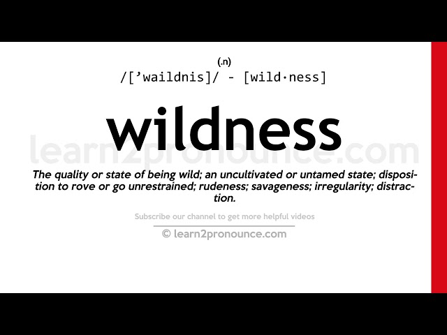 Definition & Meaning of Wild