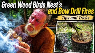 Green Wood Birds' Nests & Bow Drill Fires | Tips and Tricks for Fire by Friction