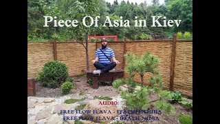 PIECE OF ASIA in Kiev / Кусочек азии в Киеве 2017