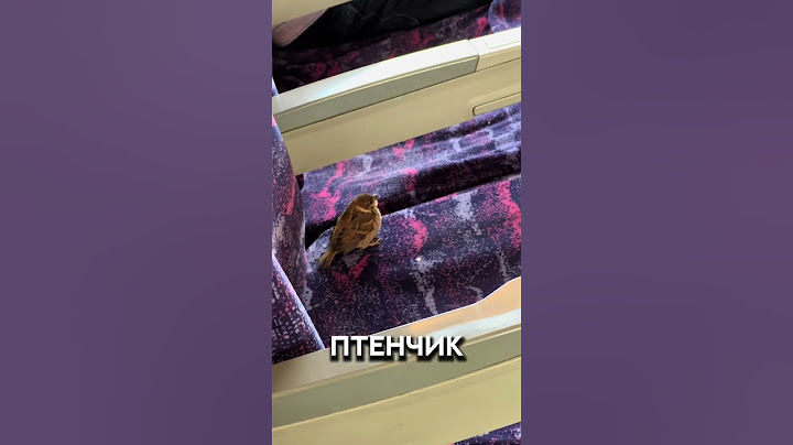 Незваный гость в самолёте