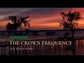 963 Hz Pineal Gland Activation — Ancient Forest Sunrise Meditation