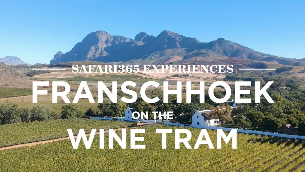 Winetasting in Stellenbosch, Franschhoek und drum herum - Südafrika | YourTravel.TV