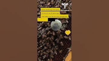 Before introducing a new queen, you have to...