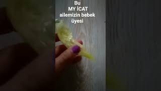 Uhu Yapıştırıcısını Bir Poşete Ko Yaptığım Bu Icata Bakar Mısınız My İcat 2