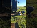Bom dia #maquinaspesadas #casal #fyp #agro #terraplanagem #maquinas #videoviral #youtubeshorts