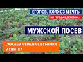 Учимся сажать рассаду клубники. Сажаем рассаду в улитку. Сажает Сергей