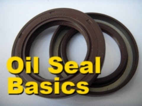 Oil Seals - Episode 2