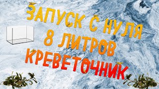 ЗАПУСК С АКВАРИУМА С НУЛЯ | КРЕВЕТОЧНИК