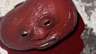 Dank Offensive Memes Compilation #153 (fixed)
Audio should now be fixed, not sure what happened yesterday
Thursday marks the return of the spooky assets. Also the Instagram has been blowing up
To keep up to date with the Dank Dealer follow the offical on X and Instagram accounts:
X: https://twitter.com/thedankdealer
Instagram: https://www.instagram.com/the_dank_dealer/
Youtube is super gay when it comes to actually dank memes, if you want more dankness and actually funny and uncensored memes, follow The Dank Dealer on Rumble. Lets not be subservient to the Youtube overlords.
Join the Rumble Page:
https://rumble.com/c/c-3118250
-Dr. Dank Dank Offensive Memes Compilation #153 (fixed)