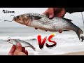 HUGE BAIT VS TINY BAIT! The BEST Surf Fishing Bait ( How to catch MORE fish )