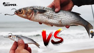 HUGE BAIT VS TINY BAIT The BEST Surf Fishing Bait ( How to catch MORE fish )