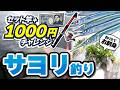 【セット竿+1000円で】サヨリを釣ってお刺身が食べたい！！【5月】