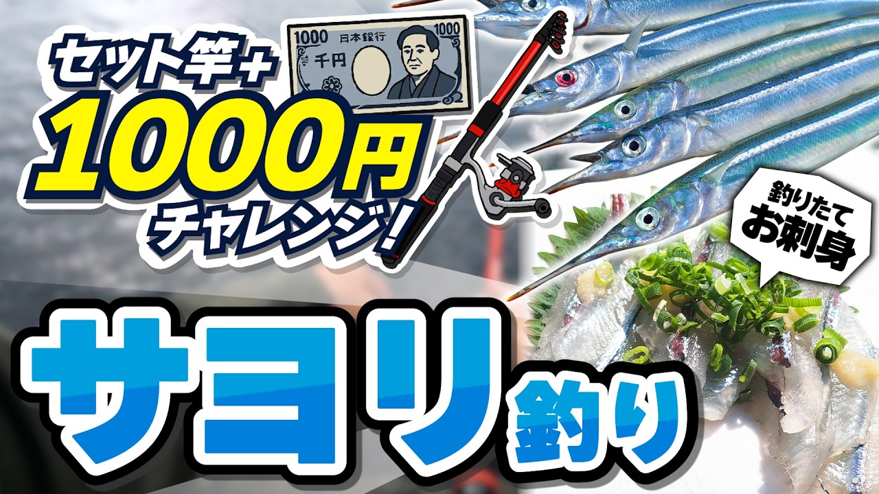 【セット竿+1000円で】サヨリを釣ってお刺身が食べたい！！【5月】
