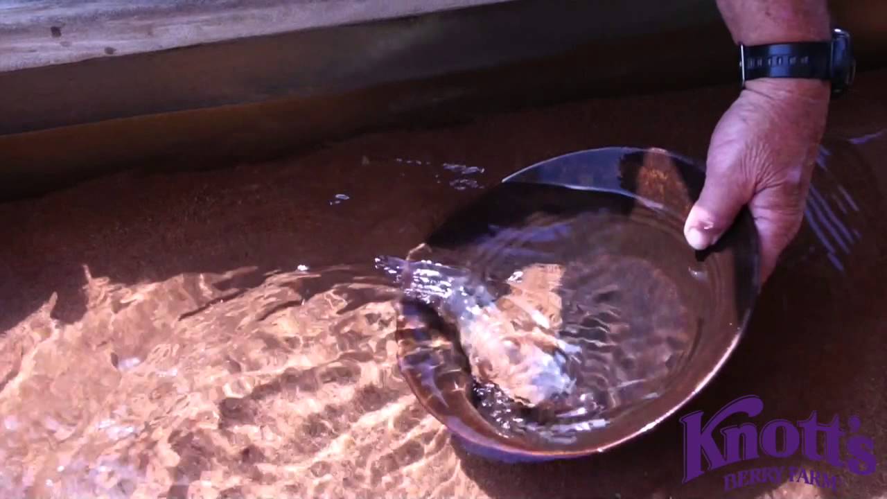 Learn How to Pan for REAL GOLD at Knott's Berry Farm - YouTube