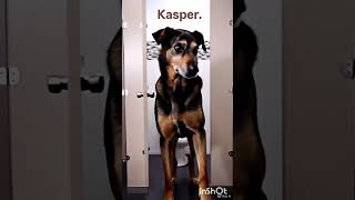 Kasper. М&Ж.
