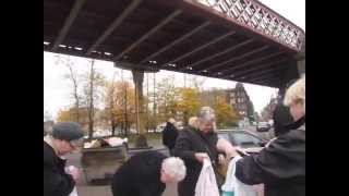 A Stroll through Paddys Market
