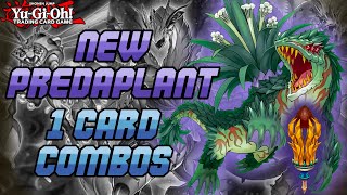 New 1 Card Predaplant Combos - Dec 2021 - Yugioh
