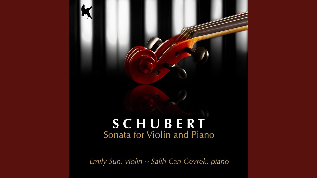 Watch Sonata for Violin and Piano in G Minor, D. 408: I. Allegro giusto on YouTube