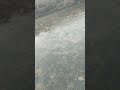 bhigi bhigi sadko pe mai