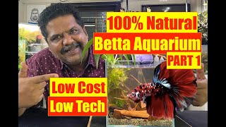 How to Start Right | Betta Aquarium | Beginners Betta Fish Tank | Mayur Dev Aquascaper | PART ONE 4K