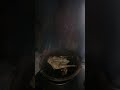 Koleksi Ayam Bakar Wong Solo Mojokerto
