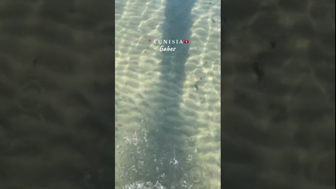 Gabes, Tunisia🇹🇳✨ 