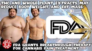 Nearly 1 in 6 Arthritis Patients Use Cannabis for Joint Pain