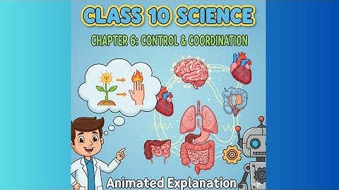 Control & Coordination Class 10 (Ch 6) | 5-Minute Animated Revision | Neuron, Brain & Hormones