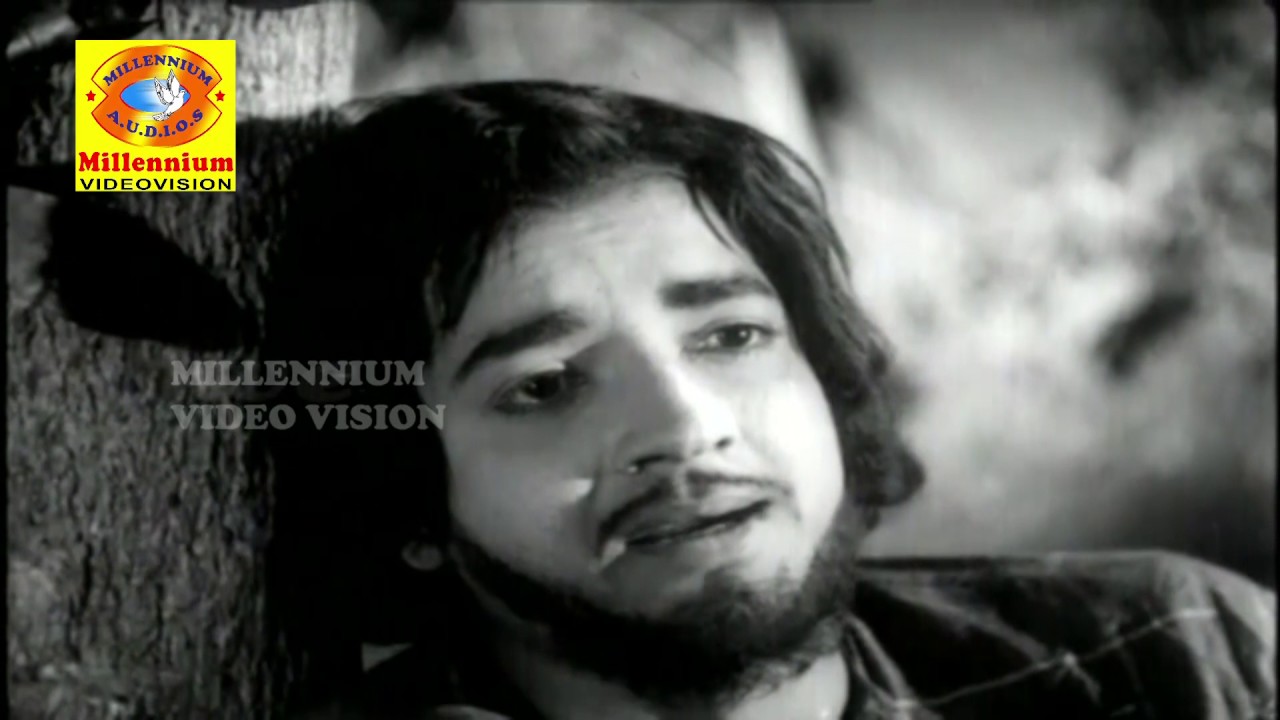 Watch Velli Nakchathrame| Ramanan Malayalam Movie Song |Sung By K. P. Udayabhanu | Prem Nazir on YouTube Watch Velli Nakchathrame| Ramanan Malayalam Movie Song |Sung By K. P. Udayabhanu | Prem Nazir on YouTube
