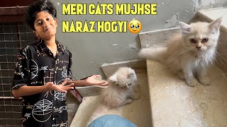 Meri Cute Cats Mujhse Naraz Hogyi!Inko Chor Kr Puri Family Ghumne Chale Gyi!| Vampire YT