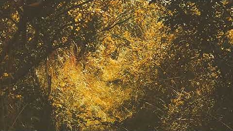 THE SLEEPLINGS - June (2024 Remaster)