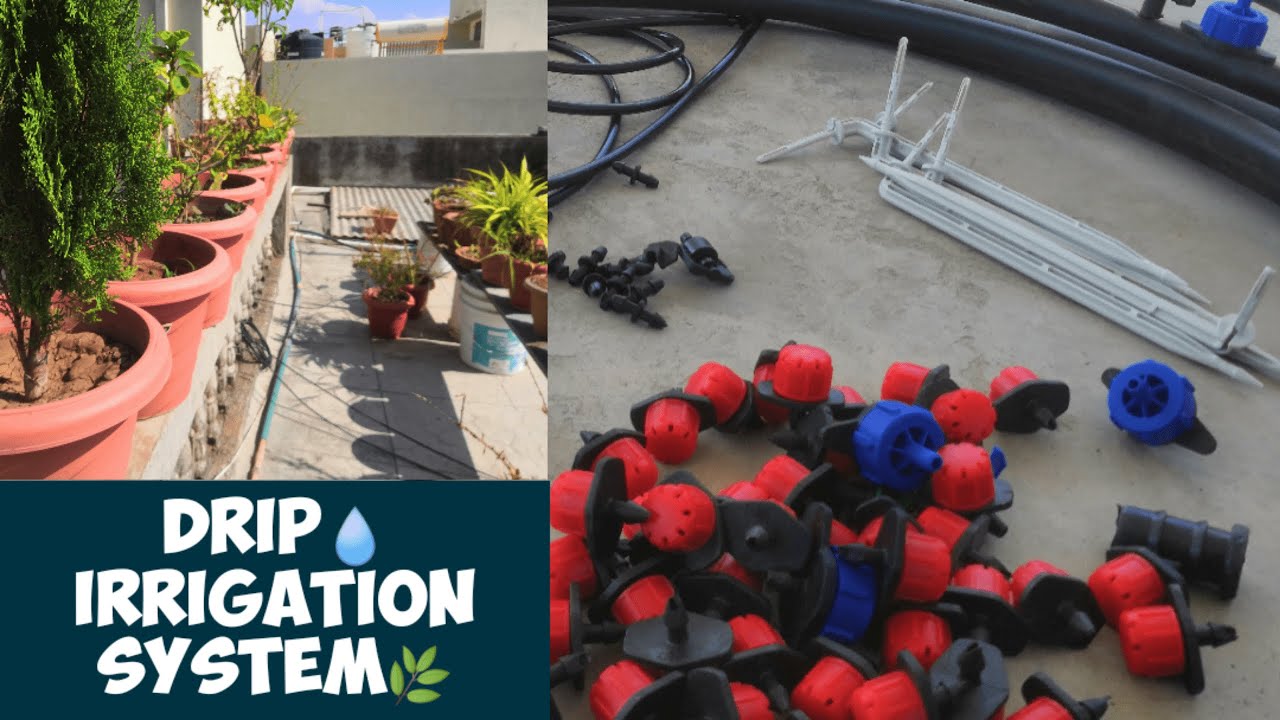 Drip 💧 irrigation 🌿 System for Rooftop Garden 🏡 (Part 1) Drip