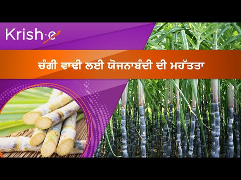 ਚੰਗੀ ਵਾਢੀ ਲਈ ਯੋਜਨਾਬੰਦੀ ਦੀ ਮਹੱਤਤਾ | The importance of planning for a good harvest