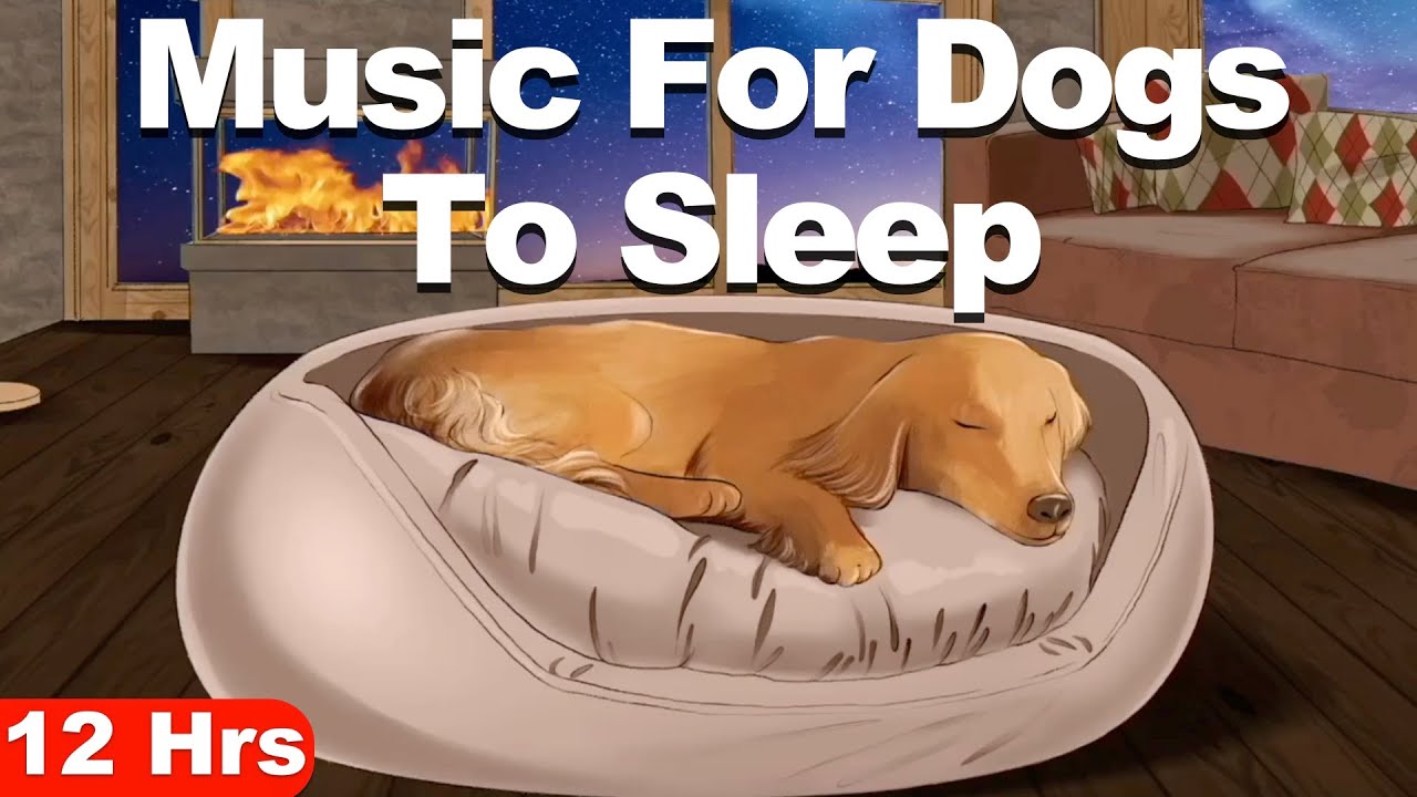 Calming Music For Dogs To Sleep (12Hrs) YouTube