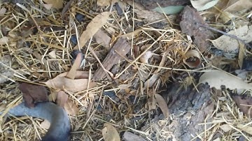 Syma x8sw x8sc battery stuck fix quadcopter drone