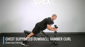 Chest Supported Dumbbell Hammer Curl - OPEX Exercise Library