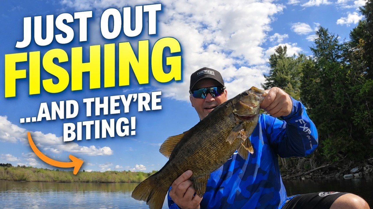 No Plan Today….But The Fish Showed Up