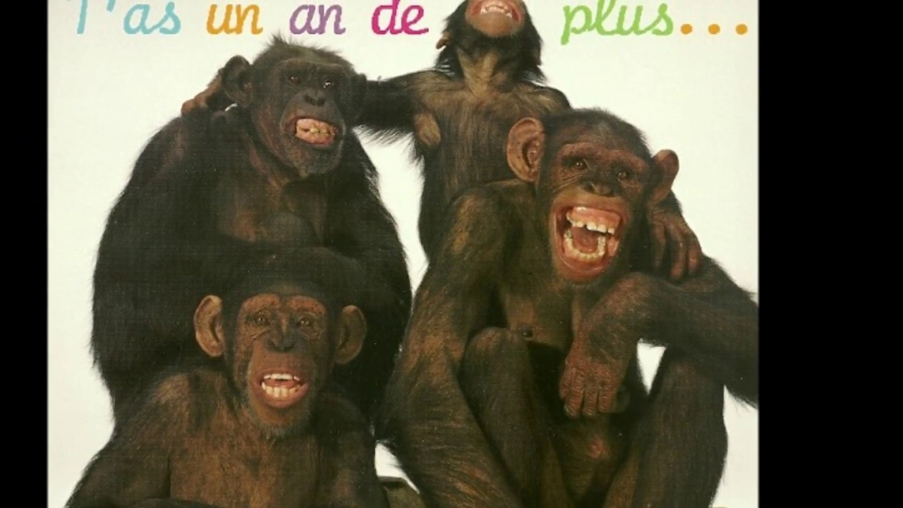 Картинка 4 обезьяны