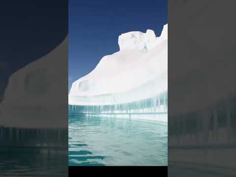 Antarctica Have No