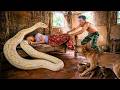 72 Hours of Terror: Giant Python Hiding Under the Bed While Girl Sleeping | Dramatic Rescue Begins!