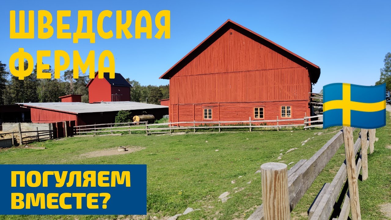 Шведская иномарка 4
