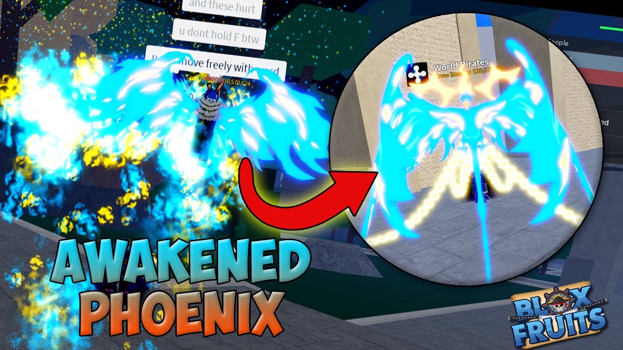Blox Fruit) Phoenix AWAKENED! Showcase + Shadow vs Phoenix FRUIT BATTLE 
