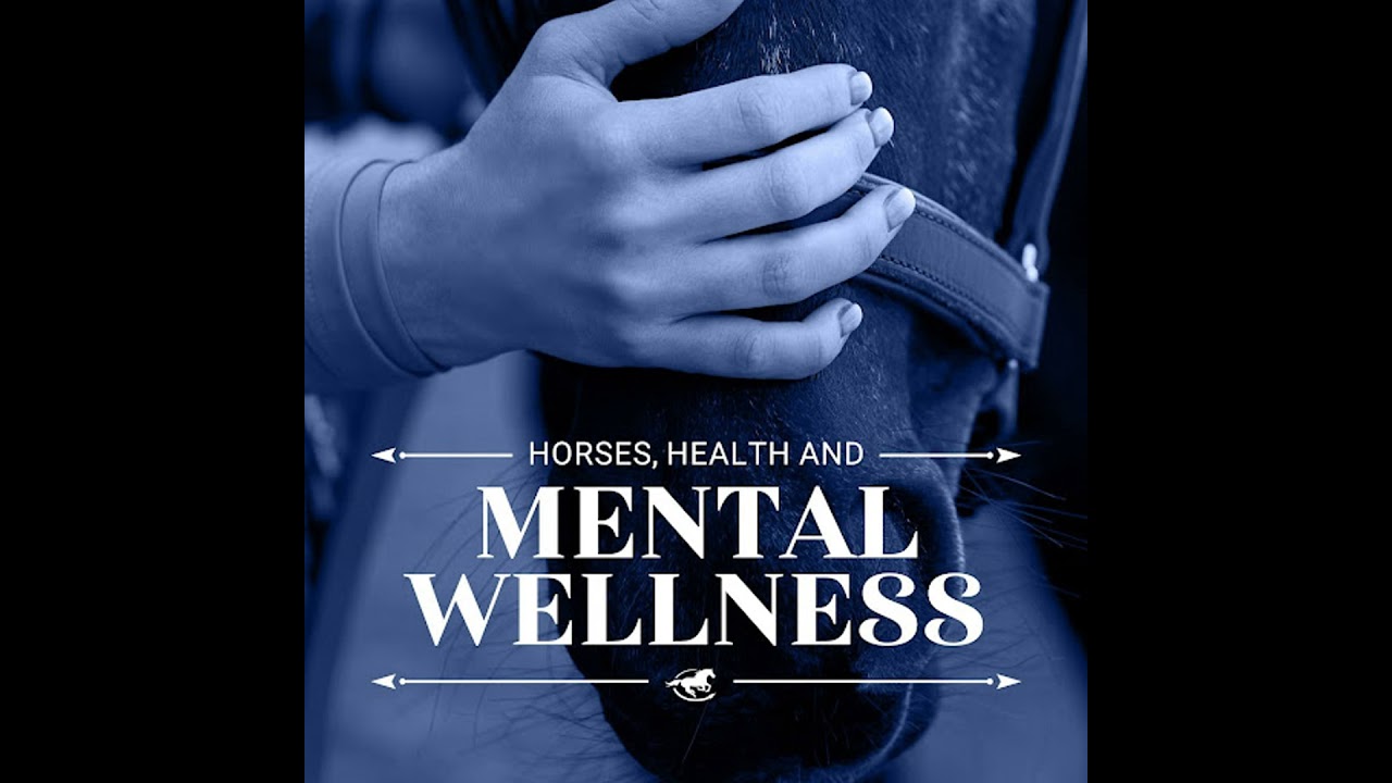 Horses, Health and Mental Wellness