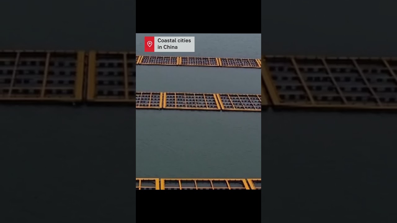 Harvest season for seafood across China