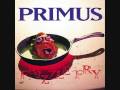 Primus- Mr. Knowitall- Frizzle Fry